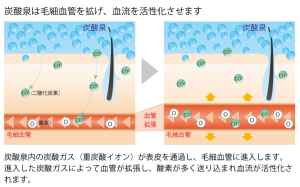 tansan-Co2